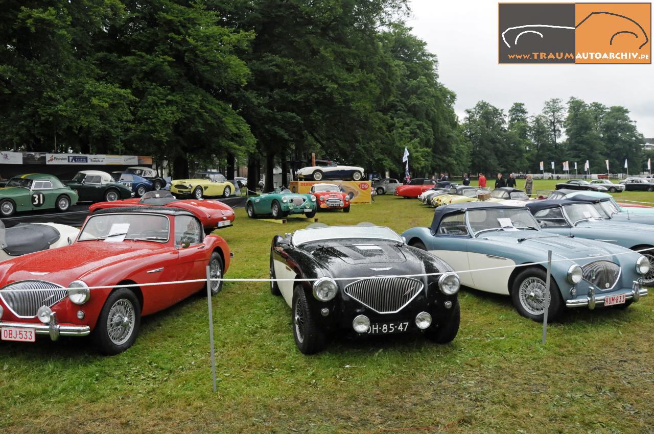 Het Loo 2012 - Austin-Healey-Club .jpg 223.1K