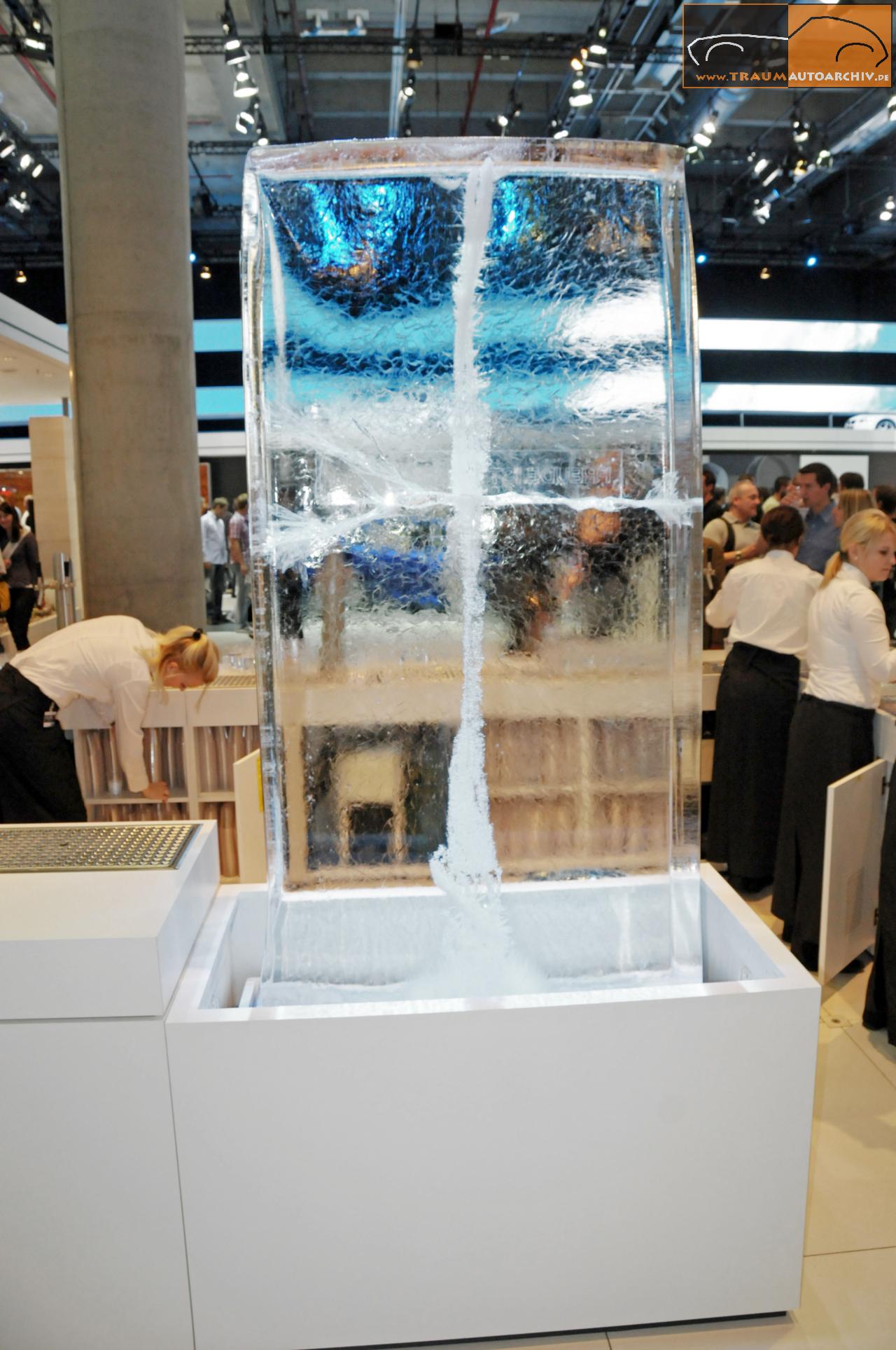 BM_W-Eisblock IAA '2009.jpg 236.8K