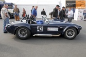 Hier klicken, um das Foto des Shelby Cobra 427 (3).jpg 164.1K, zu vergrern