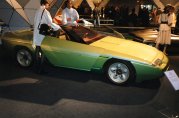 Bertone Ramarro '1984 - Hier klicken, um zu diesem Modell zu gelangen ...