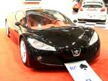 Peugeot RC Pik '2002 - Hier klicken, um zu diesem Modell zu gelangen ...